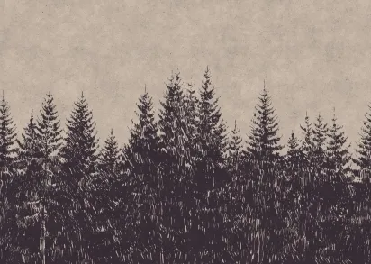 Обои A.S. Creation Walls by Patel DD110511